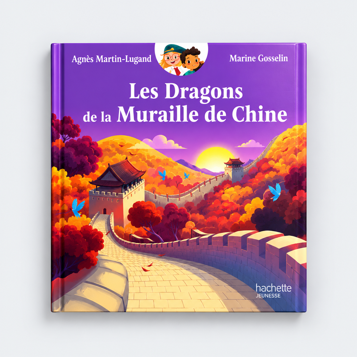 Livre Les Dragons De La Muraille De Chine